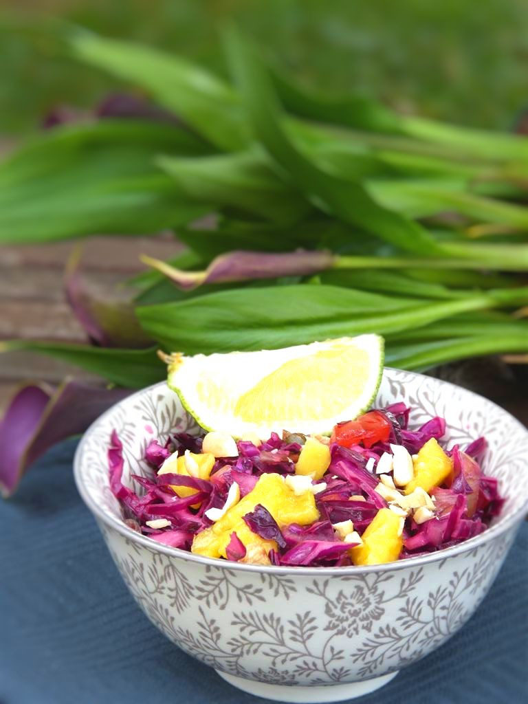Veganer Rotkohl-Salat mit Mango